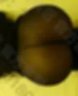 唐山路北兼职美女腿很漂亮 叫床声特别好听